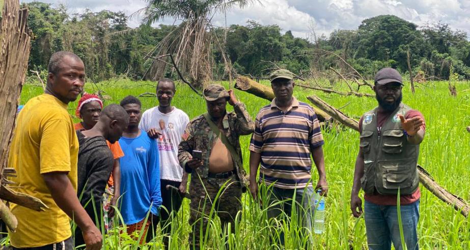 Human-Elephant Conflict Prompts Swift Government Response