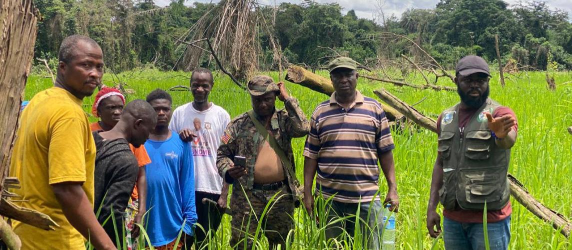 Human-Elephant Conflict Prompts Swift Government Response